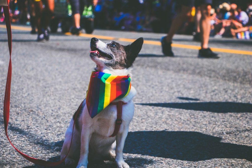 Lgbt Persuasive Speech Topics