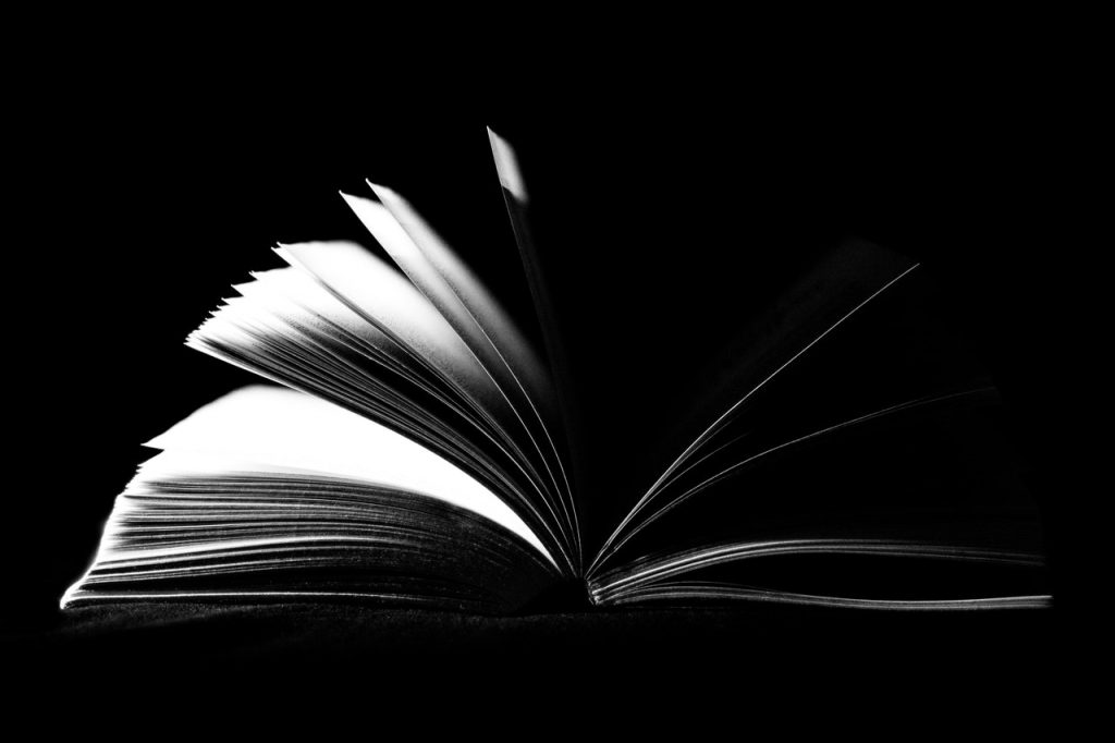 The Stranger Essay Topics