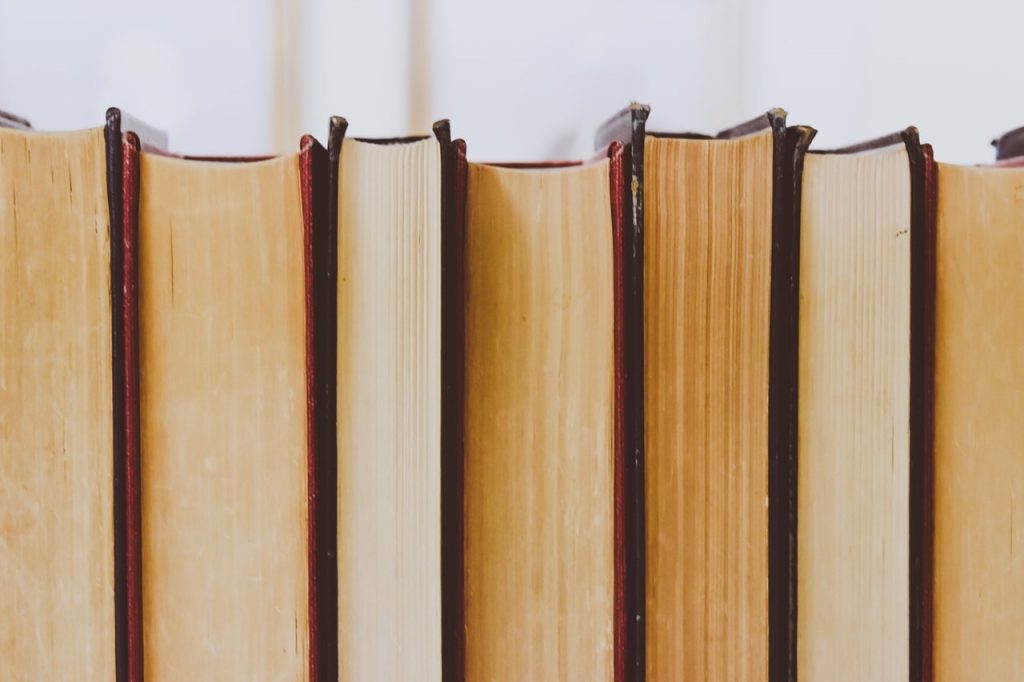 A Modest Proposal Essay Topics